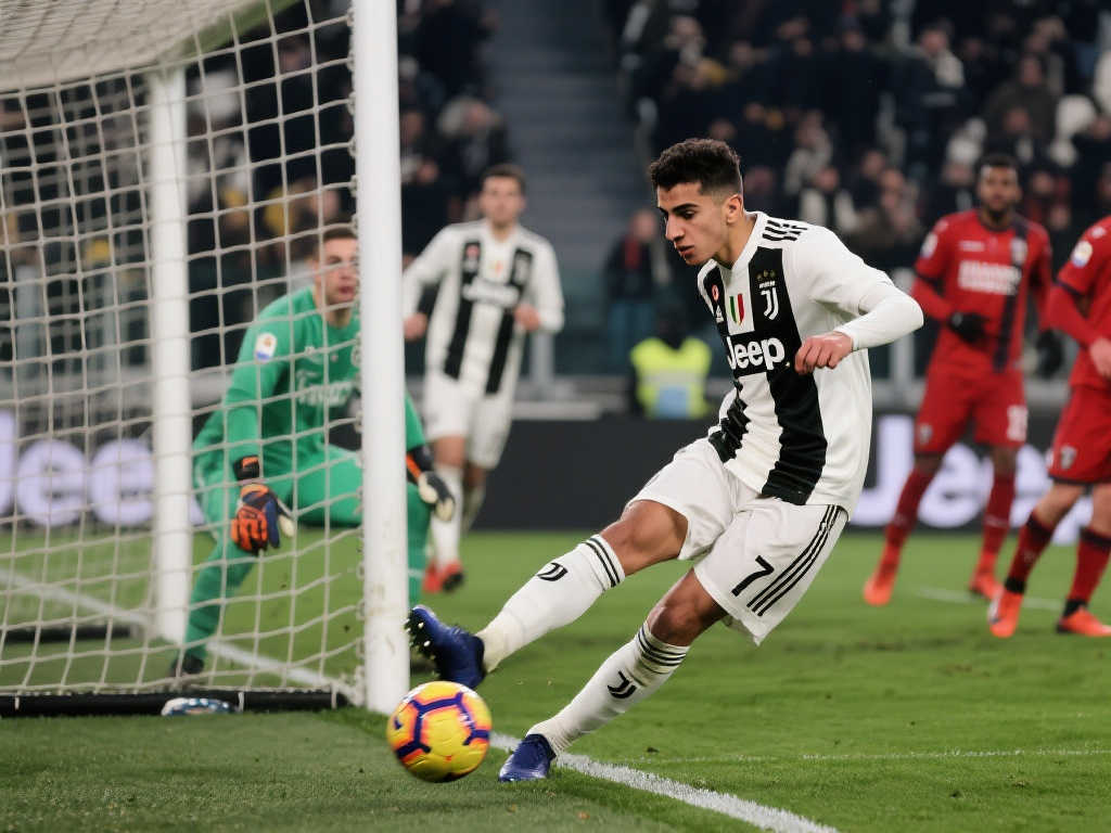 了来自全球 了来自全球